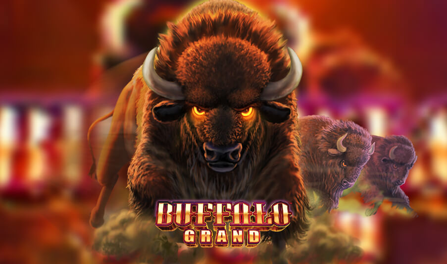 Buffalo Grand