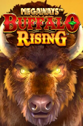 Buffalo Rising?