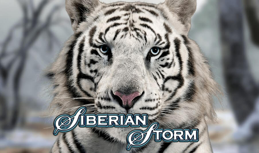 Siberian Storm